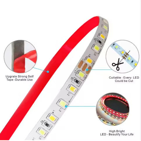 โรงงานขาย 2 สี CCT สาย LED สายไฟ 24v อุณหภูมิสี ปรับ 120LED 12V สายไฟ 2835 สายไฟ LED การตกแต่ง