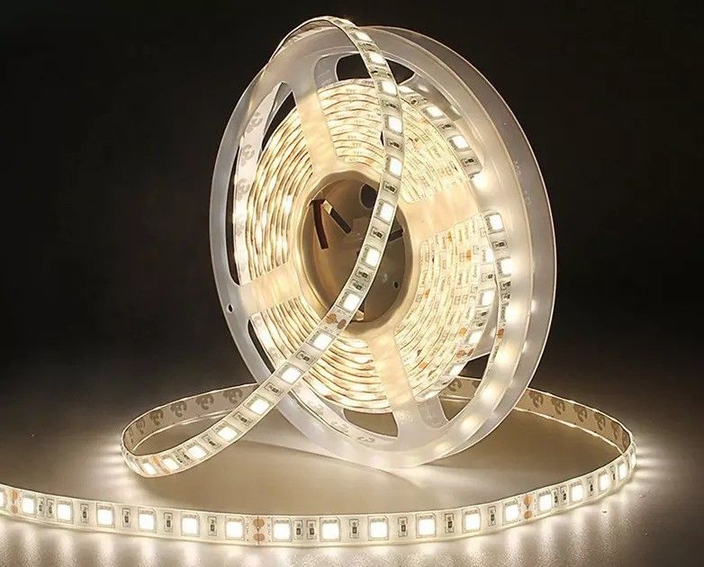 12w 12v 24v 10mm 60 LED Rgb 5050 Smd แสงสตรีป LED แบบยืดหยุ่น