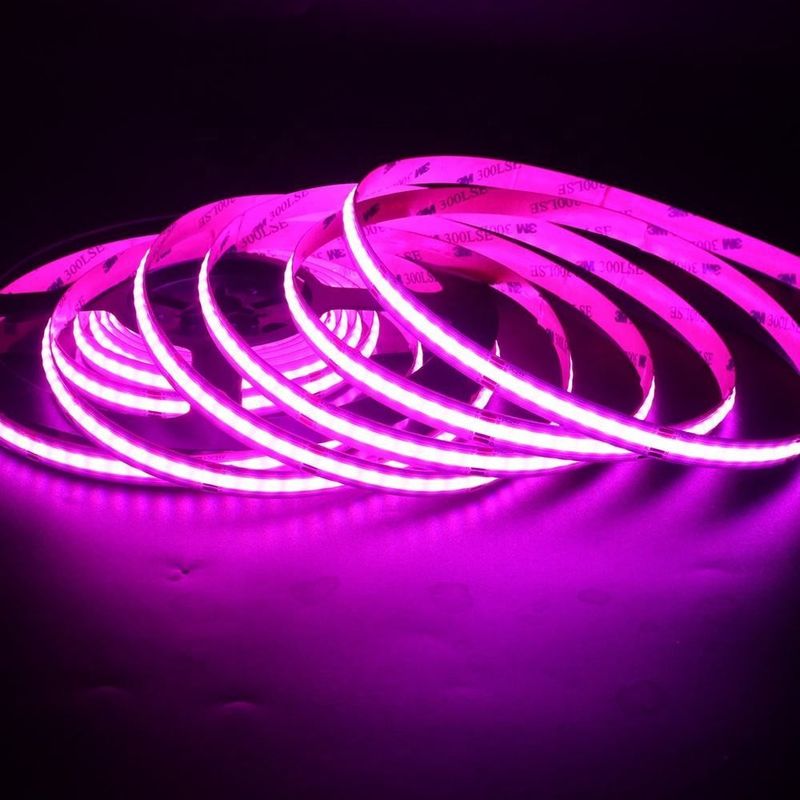 756LED RGB 10mm Wide COB LED Strip Light การสนับสนุนโดยตรง